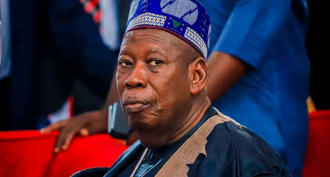 ‘Yan Kwankwasiyya suna so su haɗa ni faɗa da Tinubu: Ganduje